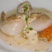 Corazon de Vieiras, cremoso de anacardos y mermelada de limon
