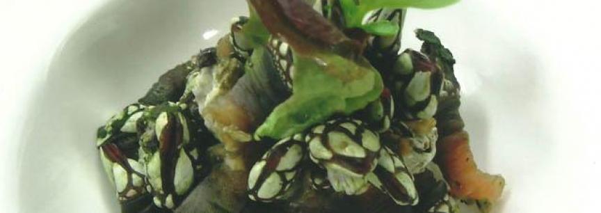 Percebes,aceite de oliva y laurel